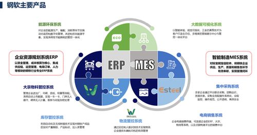 上海軟件開發(fā) 機(jī)遇、挑戰(zhàn)與未來展望